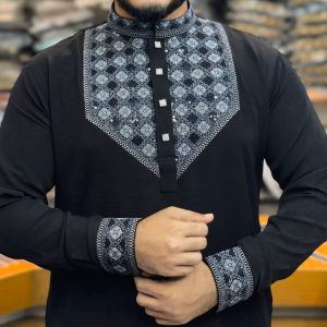 প্রিমিয়াম কোয়ালিটির এলিগ্যান্ট শাহী পাঞ্জাবি F-129